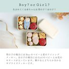 ジェンダーリビール クッキーボックスクロリ ◎ 6