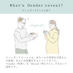 ジェンダーリビール クッキーボックスクロリ ◎ 7