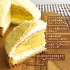 高知県 5