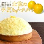SNS映え 2