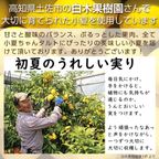 高血圧予防 7