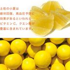 エスキィスゆかりの地 4