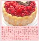 いちごアイスケーキ 6号 18cm クリスマス2025 3