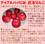 紅玉りんごのアップルパイ 5号 15cm  3