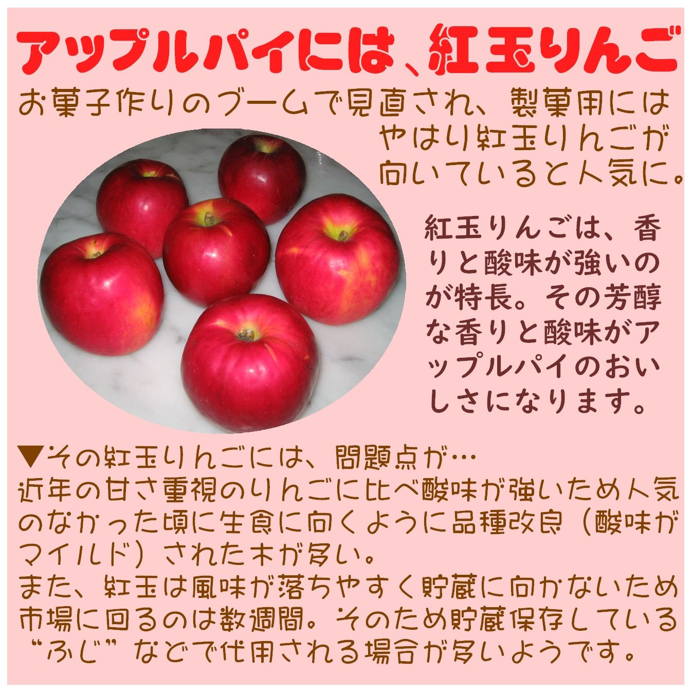 紅玉りんごのアップルパイ 6.5号 19～20cm 父の日2024（ホームメードの 
