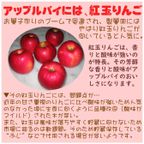 紅玉りんごのアップルパイ 6.5号 19～20cm 3