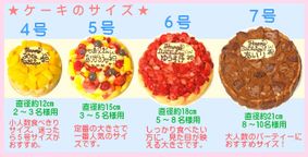 チョコレートアイスケーキ 7号 21cm 8