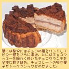 クリスマスチョコレートアイスケーキ 4号 12cm クリスマス2026 3