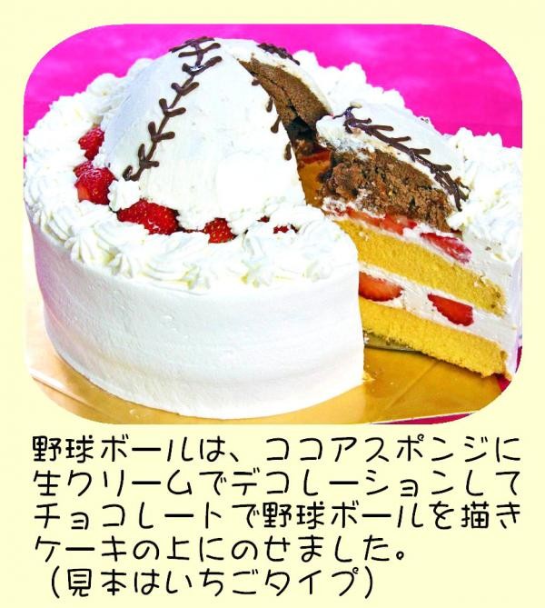 野球ボールケーキ 7号 21cm（ホームメードのお店～うしゃぎさん～） | Cake.jp