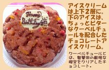 生乳チョコアイスケーキ ７号 21cm 2