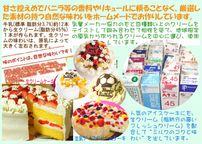 クリスマスフルーツアイスケーキ 6号 18cm  10