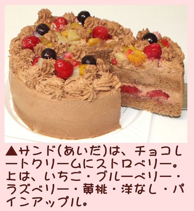 クリスマスフルーツチョコレートケーキ４号 12cm クリスマス2026 3