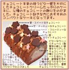 クーベルチュールチョコレートの濃厚ショコラケーキ 13.5cm 6