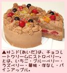 クリスマスフルーツチョコレートケーキ７号 21cm クリスマス2026 3