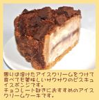 チョコレートアイスケーキ 7号 21cm 4