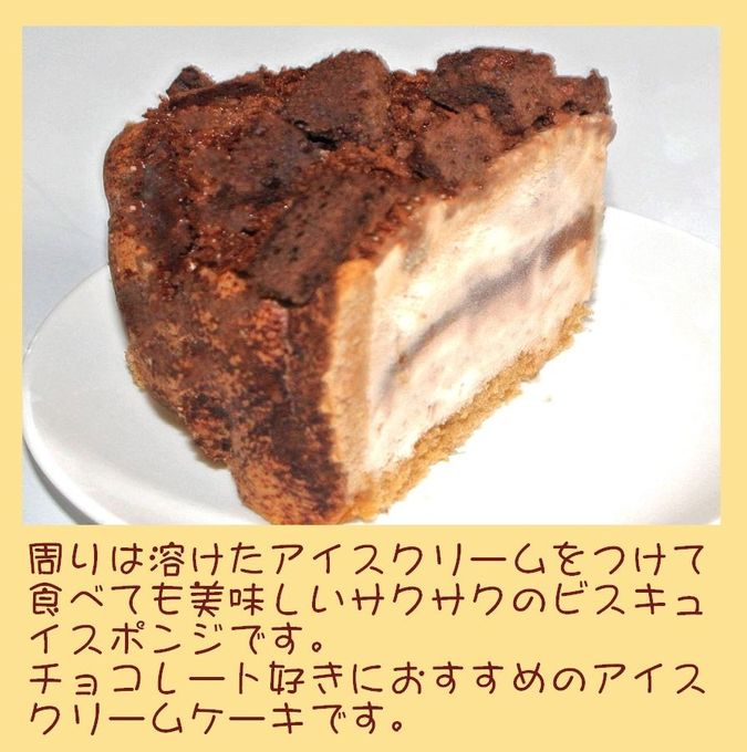 チョコレートアイスケーキ 7号 21cm 4