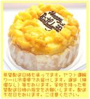 マンゴーアイスケーキ ５号 15cm  4