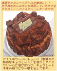 クリスマスチョコレートアイスケーキ 4号 12cm クリスマス2026 2