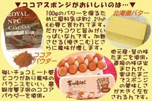 クリスマスフルーツチョコレートケーキ７号 21cm クリスマス2026 5