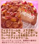 クリスマス生乳チョコアイスケーキ７号 21㎝ クリスマス2026 2