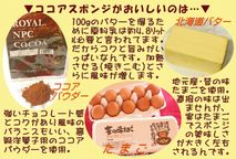 濃厚チョコレートクリームデコレーションロールケーキ 13.5cm クリスマス2025 8