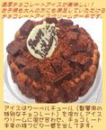 チョコレートアイスケーキ 7号 21cm 2