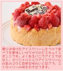 いちごアイスケーキ 6号 18cm 3