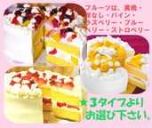 クリスマス生クリームケーキ 6号 18cm クリスマス2026 2