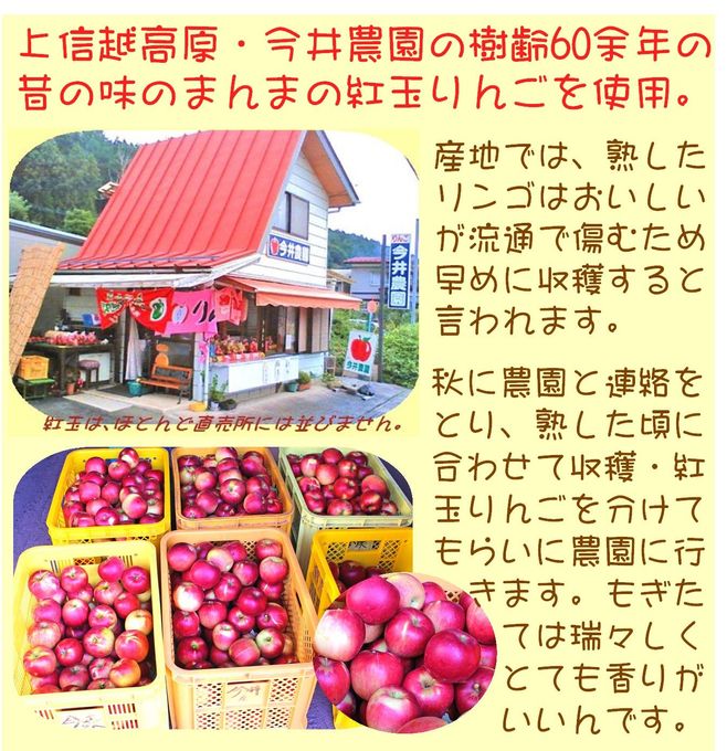紅玉りんごのアップルパイ 6.5号 19～20cm 4