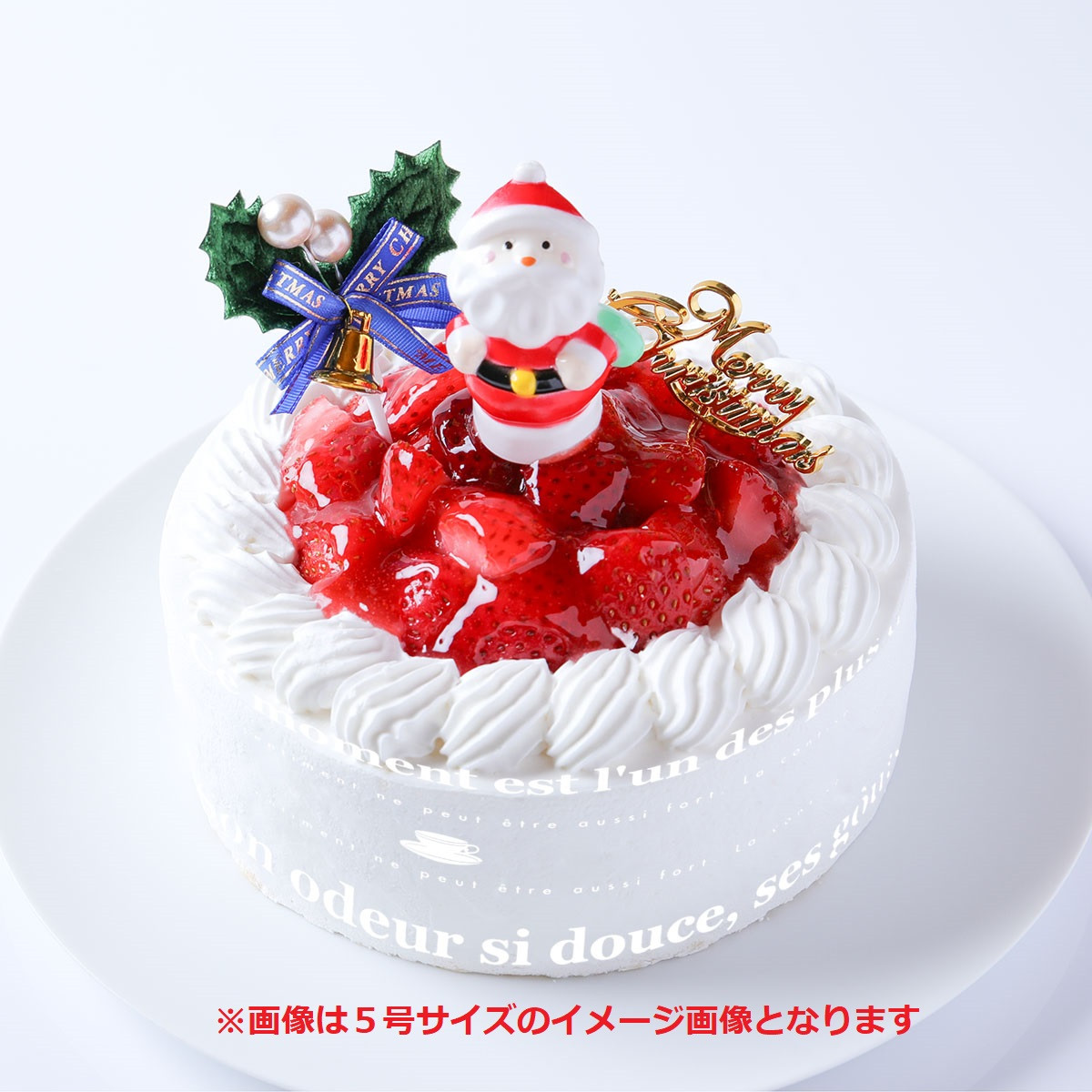 乳製品除去 乳製品アレルギー対応用クリスマスケーキ 4号 12cm クリスマス2023（サンタアンジェラ） | Cake.jp