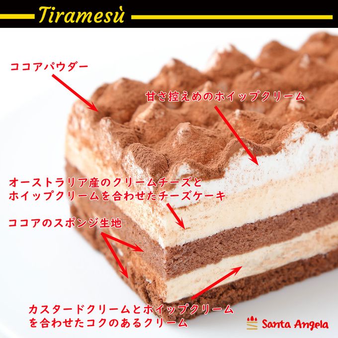 ティラミスケーキ 7cm×18cm SDGs フードロス削減 自宅用 お得  3