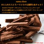 生チョコ 100g×3袋 SDGs フードロス削減 食品ロス 自宅用 お得 バレンタイン2025 3