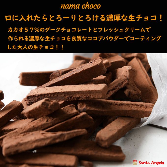 生チョコ 100g×3袋 SDGs フードロス削減 食品ロス 自宅用 お得 バレンタイン2025 3