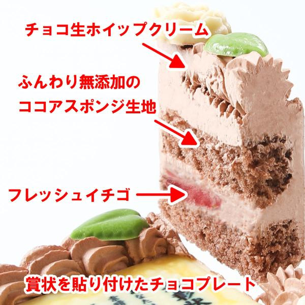 感謝状ケーキ 12×9cmチョコ生クリーム 母の日2023 4