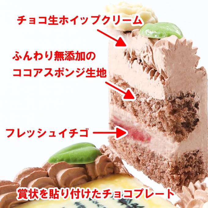 母の日限定感謝状ケーキ 15×12cm チョコ生クリーム 母の日2025 4