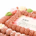 母の日限定感謝状ケーキ 15×12cm チョコ生クリーム 母の日2025 3