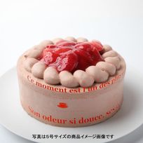 苺生チョコデコレーション 5号 15cm   