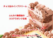 母の日限定感謝状ケーキ 18×14cmチョコ生クリーム 母の日2025 4