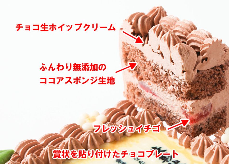 母の日限定感謝状ケーキ 18×14cmチョコ生クリーム 母の日2025 4