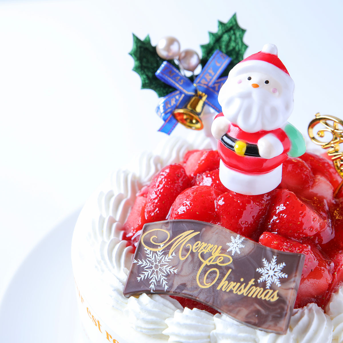 ミニチュア Xmasケーキ サンタさんつけました