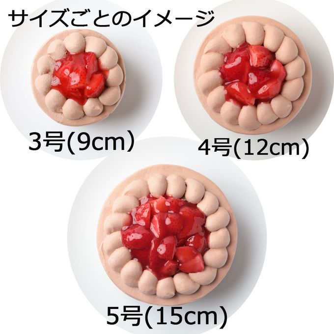 バレンタインプレート付き苺生チョコデコレーション 5号 15cm バレンタイン2025 6