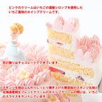 2段苺クリームデコレーションケーキ ブルードレス 5号×7号 3