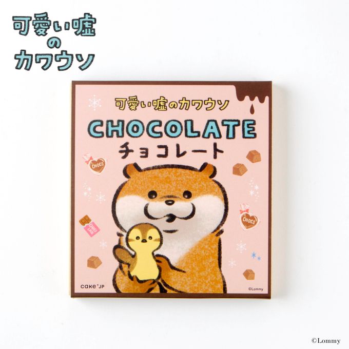『可愛い嘘のカワウソ』デザインチョコレート 2