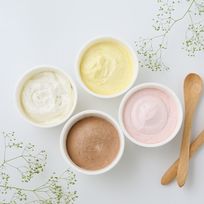 ヴィーガン＆ グルテンフリー対応 １００％植物性そのまま食べる豆乳ムース《ヴィーガンスイーツ》