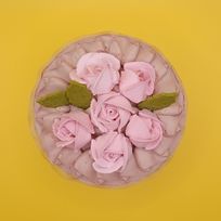 ヴィーガン＆ グルテンフリー対応 卵・乳製品・小麦粉不使用 ラズベリーショコラ 5号 15cm《ヴィーガンスイーツ・ヴィーガンケーキ》