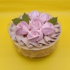 ヴィーガン＆ グルテンフリー対応 卵・乳製品・小麦粉不使用 ラズベリーショコラ 5号 15cm《ヴィーガンスイーツ・ヴィーガンケーキ》 2