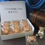 【6個】グリーンハーモニー  テディパフィ― 4