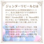 リトルテディ クッキー缶 (ジェンダーリビール・出産報告・出産祝い） 4