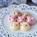 くまちゃんメレンゲ3種セット【珈琲ソルト、ラズベリー、レモン】 3