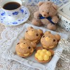 【12個】ゴールデンカスタード テディパフィ― 3